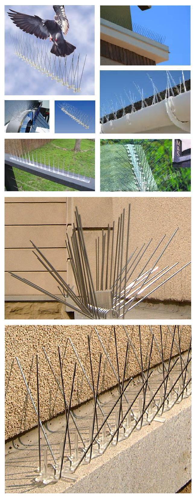 Anti Bird Contrl Spikes Insect Catcher , High Effective PC Material Traps