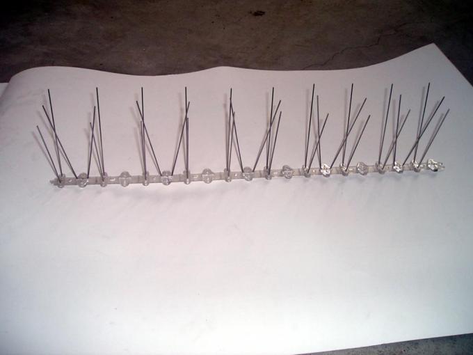 Silver Polycarbonate Base Bird Control Spikes Per Base for agriculture