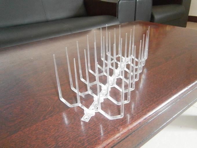 Anti Bird Contrl Spikes Insect Catcher , High Effective PC Material Traps