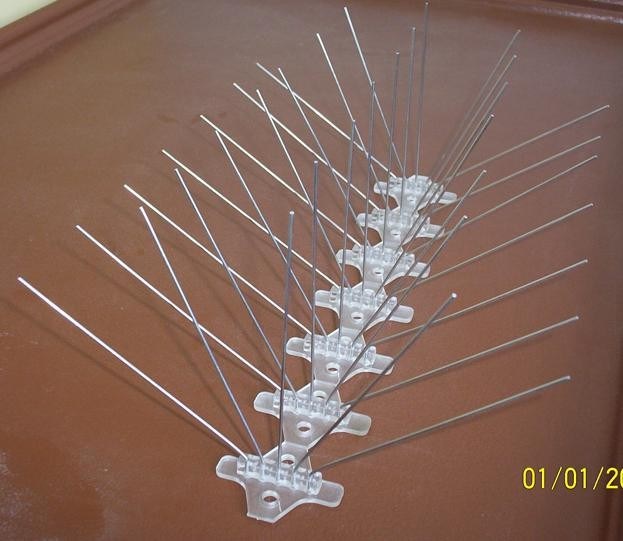 Sliver / White Bird Control Spikes , Galvanized bird pest control devices