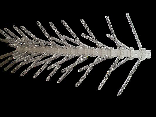 Bird Spike Stainless Steel in bird Control