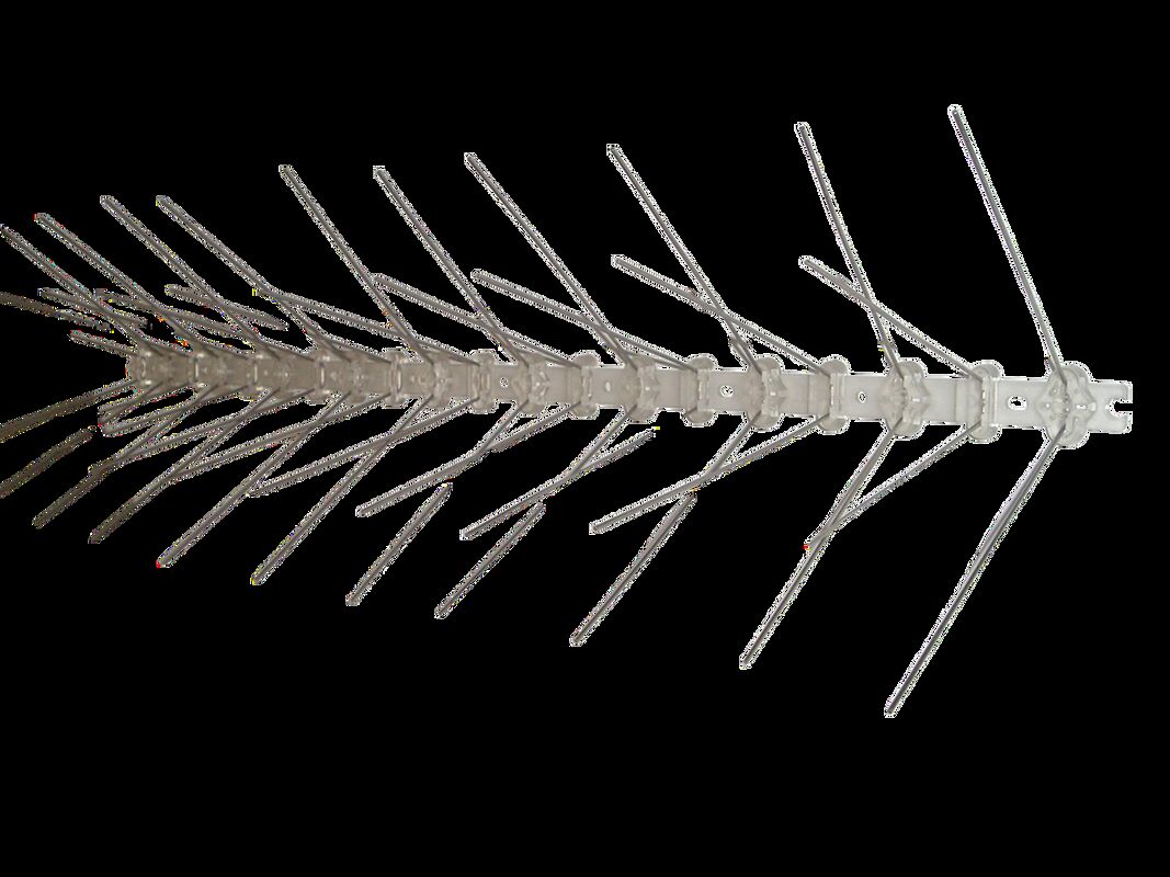 Bird Spike Stainless Steel in bird Control
